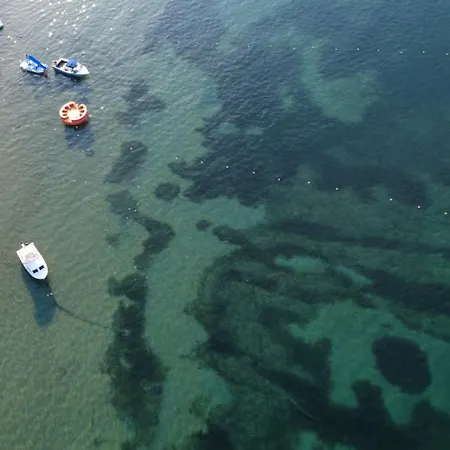 Apartament Ever Kávos